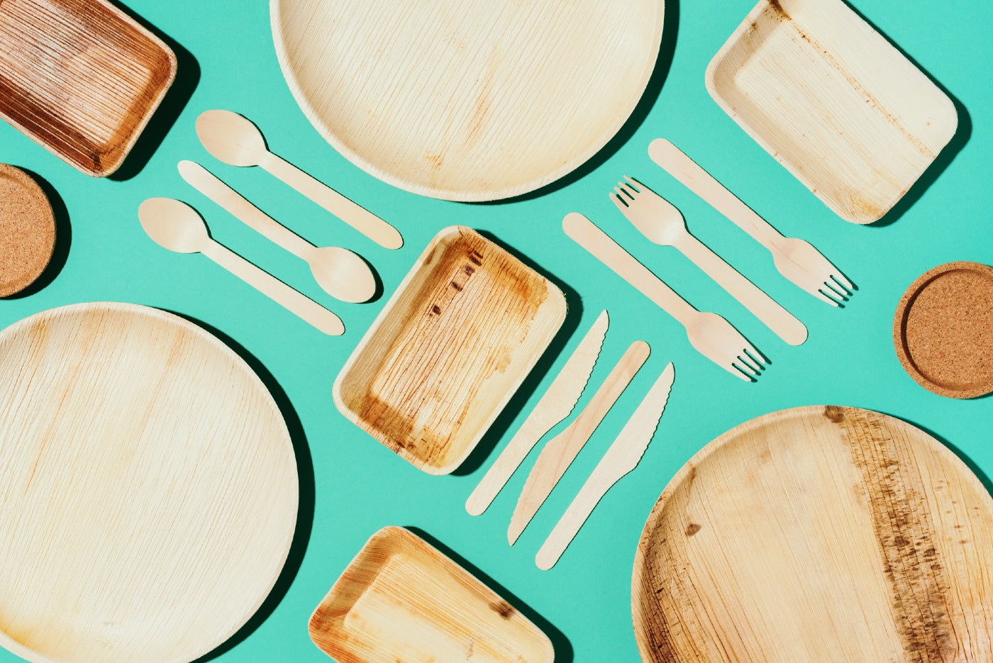 Palm Leaf Plates Vs. Bamboo Plates: Which One Is Better?