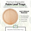 14" Palm Leaf Trays (Deep Style)