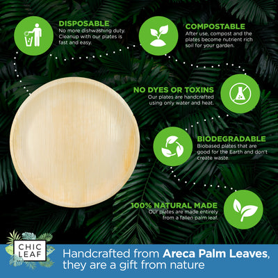 10" Round Palm Leaf Plates