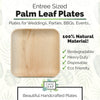 10" Palm Leaf Plates