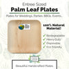 9.5" Palm Leaf Plates